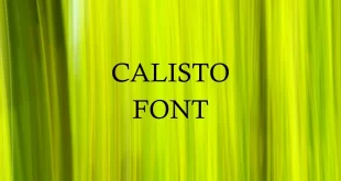 calisto font feature 310x165 - Calisto Font Free Download