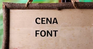 cena font feature 310x165 - Cena Font Free Download