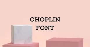choplin font feature 310x165 - Choplin Font Free Download