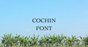 cochin font feature 310x165 - Cochin Font Free Download