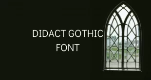 didact gothic font feature 310x165 - Didact Gothic Font Free Download