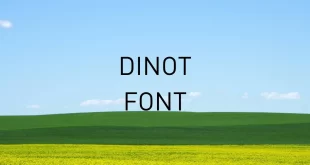 dinot font feature 310x165 - Dinot Font Family Free Download