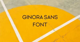 Ginora Sans Font