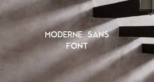 moderne sans font feature 310x165 - Moderne Sans Font Free Download