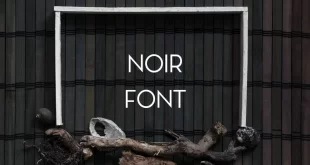 noir font feature 310x165 - Noir Font Free Download