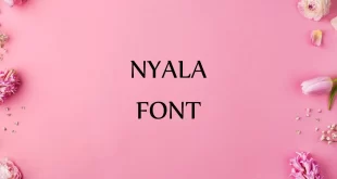 nyala font feature 310x165 - Nyala Font Free Download