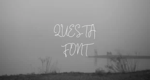 questa font feature 310x165 - Questa Font Free Download