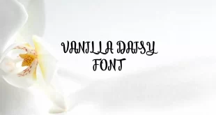 vanilla daisy font feature 310x165 - Vanilla Daisy Font Free Download