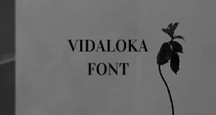 vidaloka font feature 310x165 - Vidaloka Font Free Download