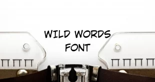 wild words font feature 310x165 - Wild Words Font Free Download