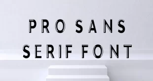 Pro Sans Serif Font Feature 310x165 - Pro Sans Serif Font Free Download