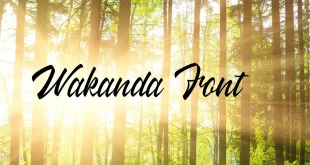 wakanda font feature 310x165 - Wakanda Font Free Download