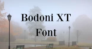 Bodoni XT Font Feature 310x165 - Bodoni XT Font Free Download