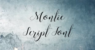 Montic Script Font