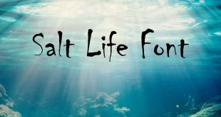 Salt Life Font