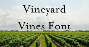 Vineyard Vines Font