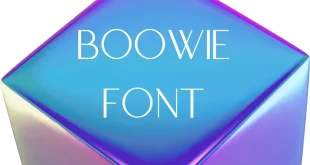 Boowie Sans Serif Font