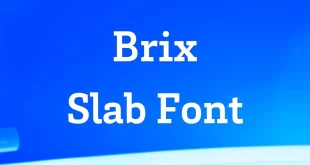 Brix Slab Font