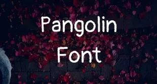 Pangolin Font