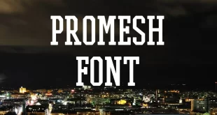 Promesh Font