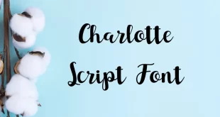 Charlotte Script Font