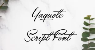 Yaquote Script Font