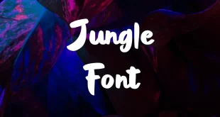 Jungle Font