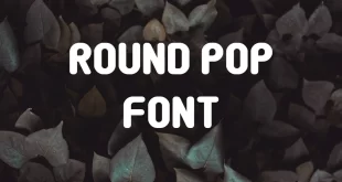 Round Pop Font