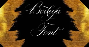 Bodega Font