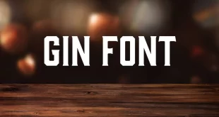 Gin Font