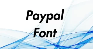 Paypal Font