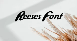 Reeses Font