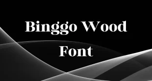 Binggo Wood Font