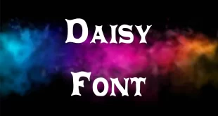 Daisy Font