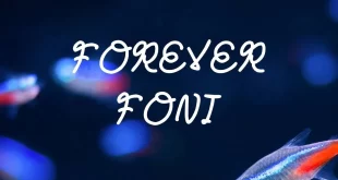 Forever Font