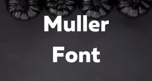 Muller Font