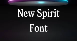 New Spirit Font