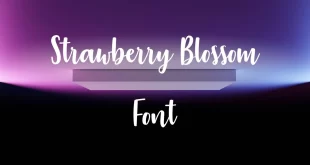 Strawberry Blossom Font