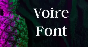 Voire Font