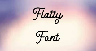Flatty Font