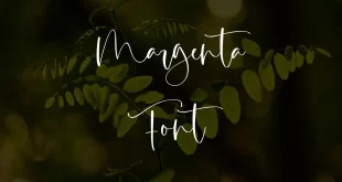 Margenta Font