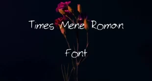 Times Mene Roman Font