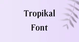 Tropikal Font