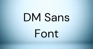 DM Sans Font