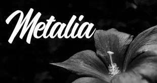 Metalia Font