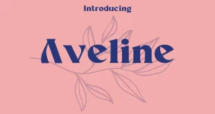 Aveline Font