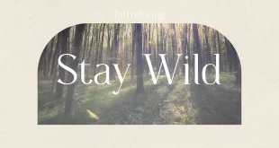 Stay Wild Font